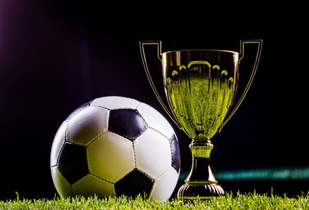 成为全球顶 成为全球顶