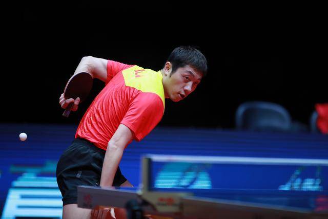 他们引入了 他们引入了